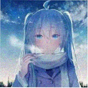 用户南窗头像